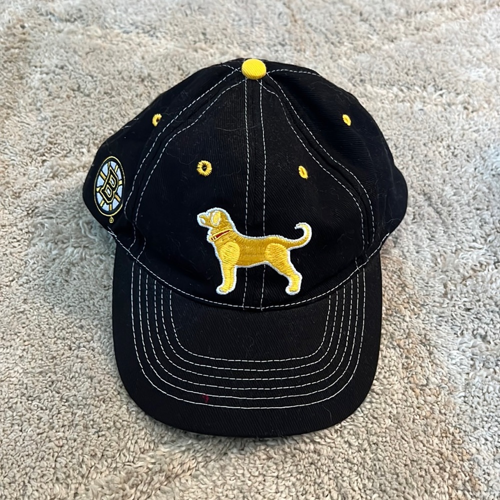Black dog bruins hat, one size